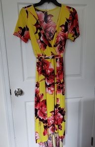 Pinkblush High/Low Maternity/Nursing dress